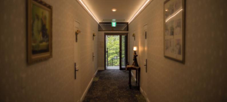 维利斯酒店(Hotel Wellies)图片