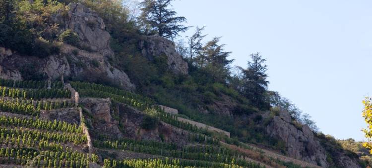 阿扎雷酒店(Logis Hôtel Restaurant Azalées)图片