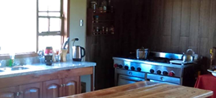 乡村农场旅馆(La Casona Puelo Lodge)图片