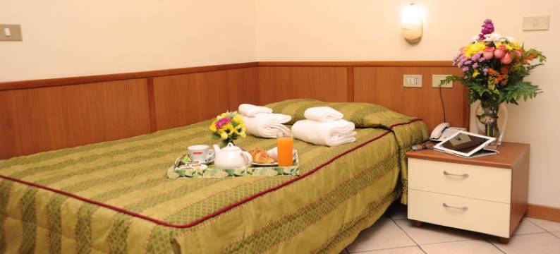 圣西罗菲耶拉酒店(Hotel San Siro Fiera)图片