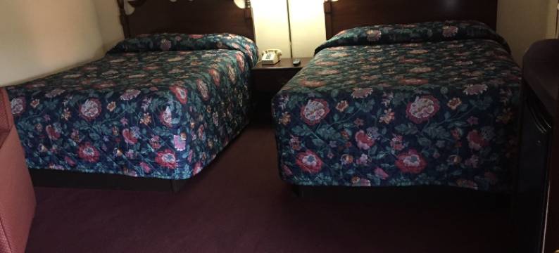 联排别墅汽车旅馆(Motel Town House)图片