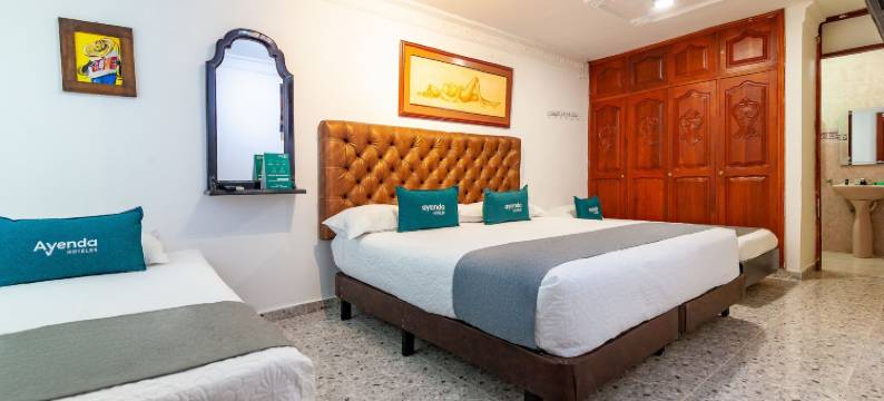 Ayenda兰花19(Ayenda Orquidea 19)图片