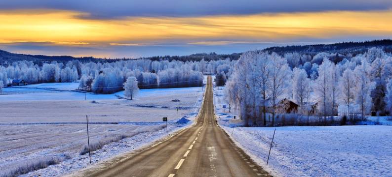 孙讷穆绿屋旅馆(The Green House Guesthouse)图片