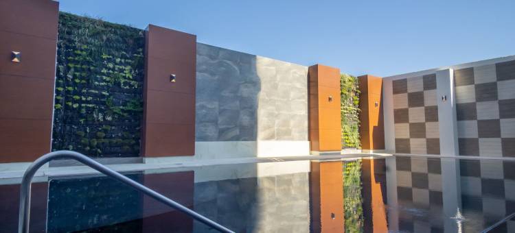 喜来登瓜达拉哈拉博览会(Sheraton Guadalajara Expo)图片