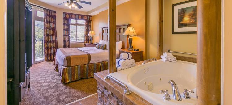 大雾山假日酒店&度假村(Holiday Inn Club Vacations Smoky Mountain Resort)图片