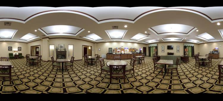 杜马智选假日酒店及套房(Holiday Inn Express & Suites Dumas)图片