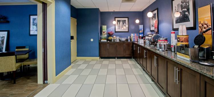 塞勒姆东欢朋酒店 - 电气路(Hampton Inn Salem East-Electric Road)图片