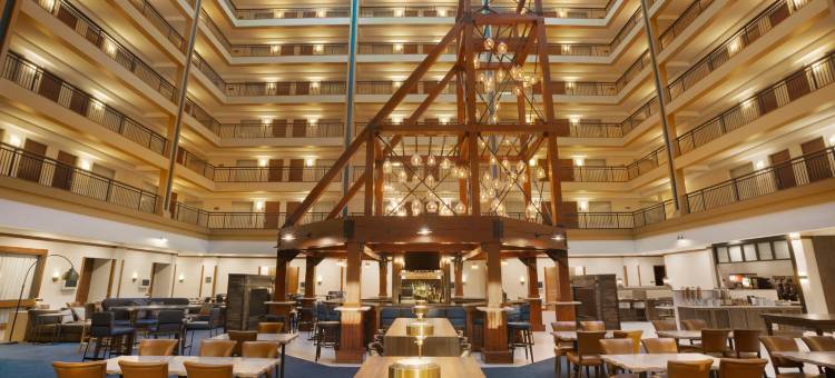 丹佛国际机场希尔顿大使套房酒店(Embassy Suites by Hilton Denver International Airport)图片