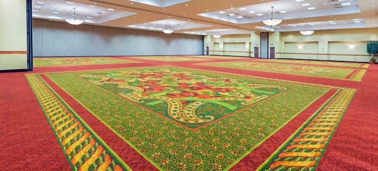 达拉斯梅斯基特希尔顿欢朋酒店(Hampton Inn & Suites Dallas-Mesquite)图片