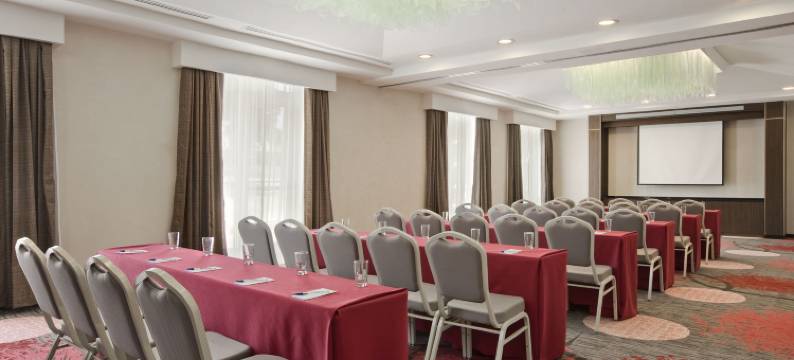 图斯特拉-古铁雷斯希尔顿花园酒店(Hilton Garden Inn Tuxtla Gutierrez)图片