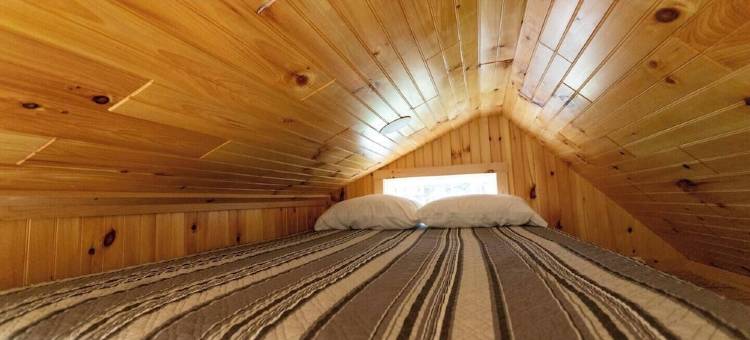 Remote Tiny Cabin & Hiking!图片