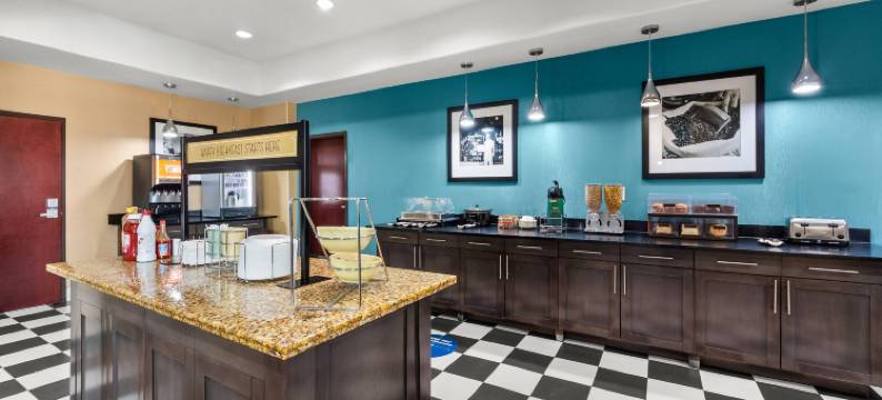 皮尔索尔的品质套房酒店(Quality Inn & Suites Pearsall)图片