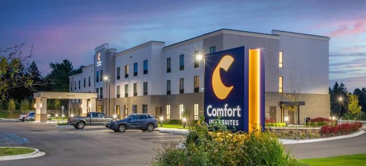 舒适套房酒店(Comfort Inn & Suites)图片