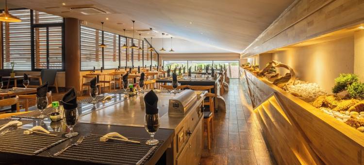 塔马林德西洋酒店-全包(Occidental Tamarindo - All Inclusive)图片