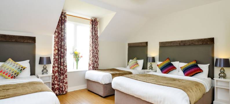 丁格尔港饭店(Dingle Harbour Lodge B&B)图片