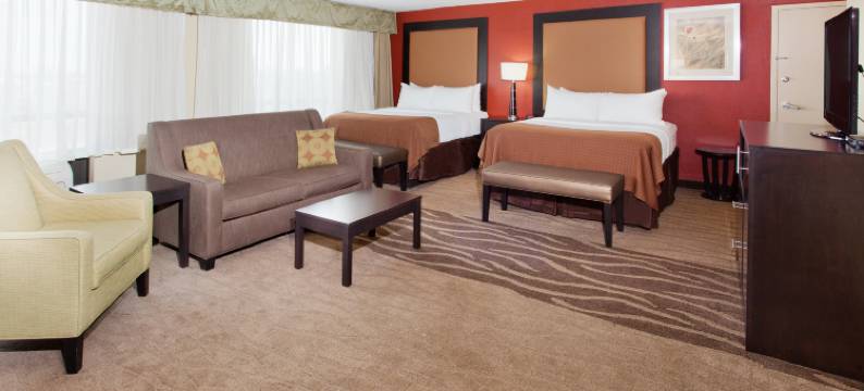 什里夫波特中心假日酒店(Holiday Inn SHREVEPORT DOWNTOWN by IHG)图片