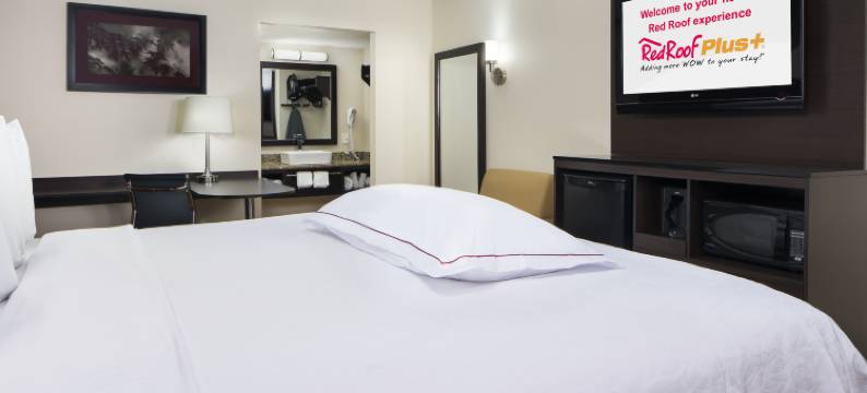 东伯明翰 - 艾昂戴尔机场红屋顶普拉斯酒店(Red Roof Plus+ Birmingham East - Irondale/ Airport)图片