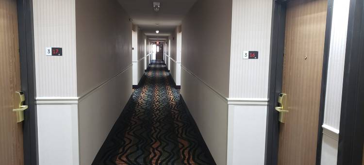 布兰森红屋顶酒店(Red Roof Inn Branson)图片