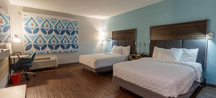 麦金尼希尔顿Tru酒店(Tru by Hilton McKinney)图片