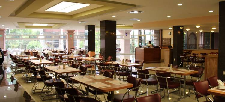 阿瓜斯卡连特斯瑞里商场酒店(Hotel Real Plaza Aguascalientes)图片