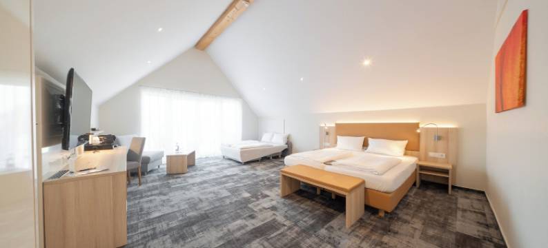 阿德勒酒店(Hotel Adler - Paulas Alb)图片