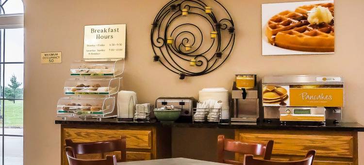 切斯特菲尔德村凯艺套房酒店(Quality Inn & Suites Chesterfield Village)图片