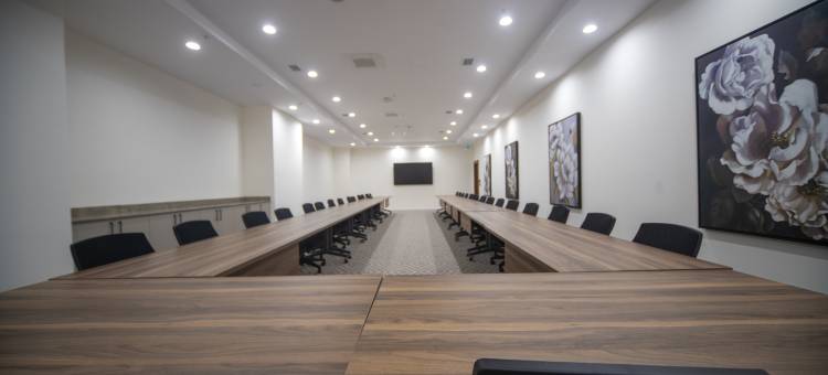 希尔顿代尼兹利欢朋酒店(Hampton by Hilton Denizli)图片