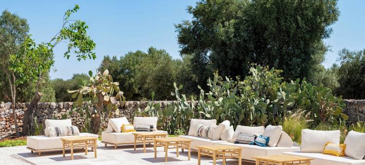 马斯仙达瓜达卢佩(Masseria Guadalupe, the Mascienda)图片