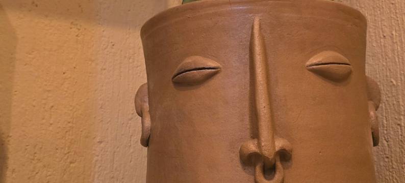 索奇米尔科的树之家旅馆(Casa del Árbol Hostel Xochimilco)图片