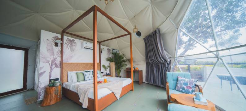 圣人小住与小径(Sage Stays and Trails)图片