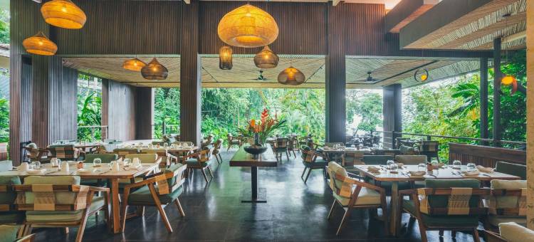 洛斯奥托斯度假村(Los Altos Resort)图片