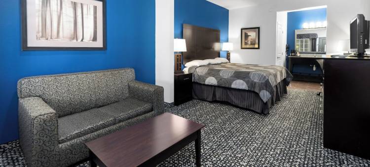 贝尔蒙特套房旅馆(Belmont Inn and Suites Tatum)图片