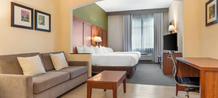 勒维尔坎伯兰舒适套房酒店(Comfort Inn & Suites LaVale - Cumberland)图片