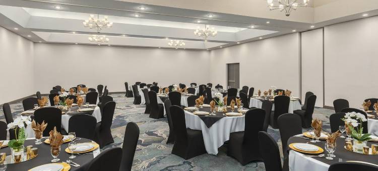 奥克维尔中心假日酒店(Holiday Inn OAKVILLE (CENTRE) by IHG)图片