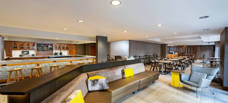 休斯顿医疗中心／nrg 公园万豪SpringHill酒店(SpringHill Suites Houston Medical Center/NRG Park)图片