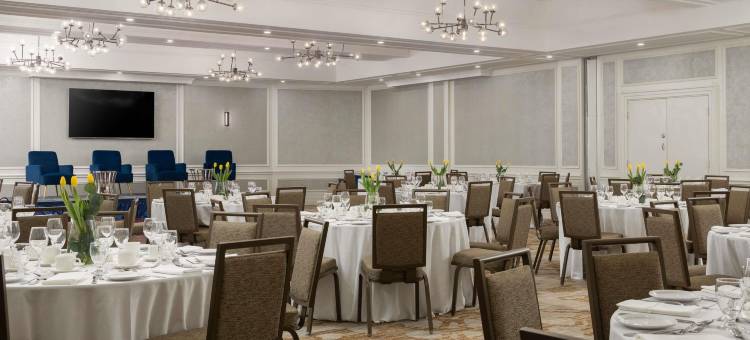诺富特多伦多中心酒店(The Novotel Toronto Centre)图片