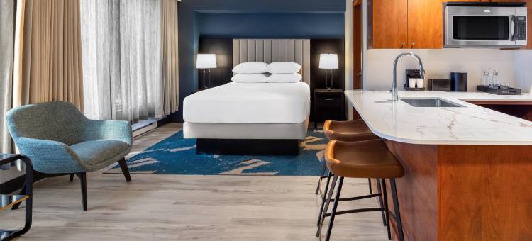 蒙特利尔市中心希尔顿安泊酒店(Embassy Suites by Hilton Montreal)图片