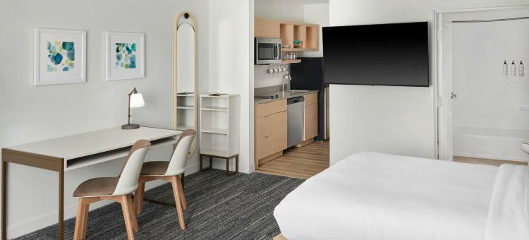 兰辛北TownePlace Suites酒店(TownePlace Suites Lansing North)图片