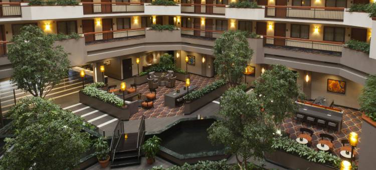 奥斯汀-植物园希尔顿安泊酒店(Embassy Suites by Hilton Austin Arboretum)图片