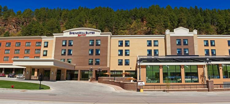 戴德伍德万豪SpringHill Suites 酒店(SpringHill Suites Deadwood)图片
