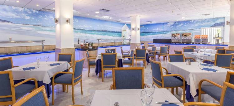 马贝拉塞尔科泰尔维姆拉雷瑟瓦酒店(Sercotel Vime La Reserva de Marbella)图片