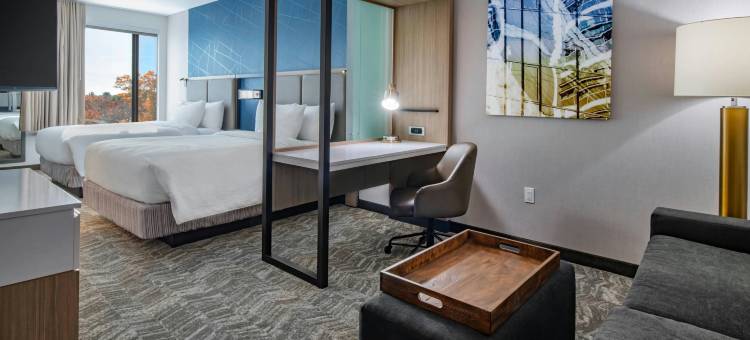 伦瑟姆普兰维尔SpringHill Suites酒店(SpringHill Suites Wrentham Plainville)图片