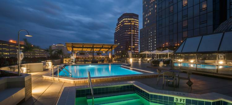 坦帕市中心希尔顿酒店(Hilton Tampa Downtown)图片