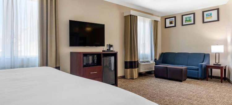 普莱诺-北达拉斯舒适全套房酒店(Comfort Suites Plano - Dallas North)图片