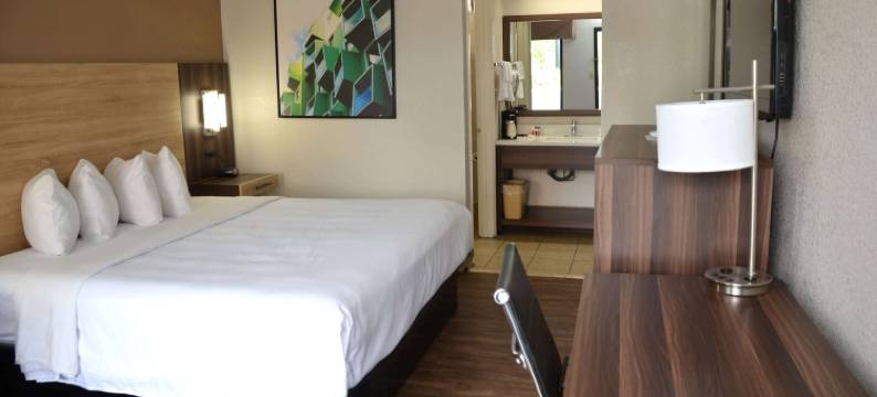 桑蒂温德姆呗盟酒店(Baymont by Wyndham Santee)图片