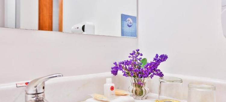儒万维尔舒适酒店(Comfort Hotel Joinville)图片