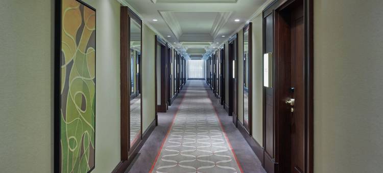 伊斯坦布尔巴森快速路精英世界大酒店(Elite World Grand Istanbul Basın Ekspres)图片