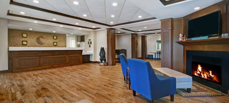 威尔顿舒适套房酒店(Comfort Inn & Suites)图片