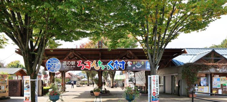 枥木宇都宫万枫酒店(Fairfield by Marriott Tochigi Utsunomiya)图片