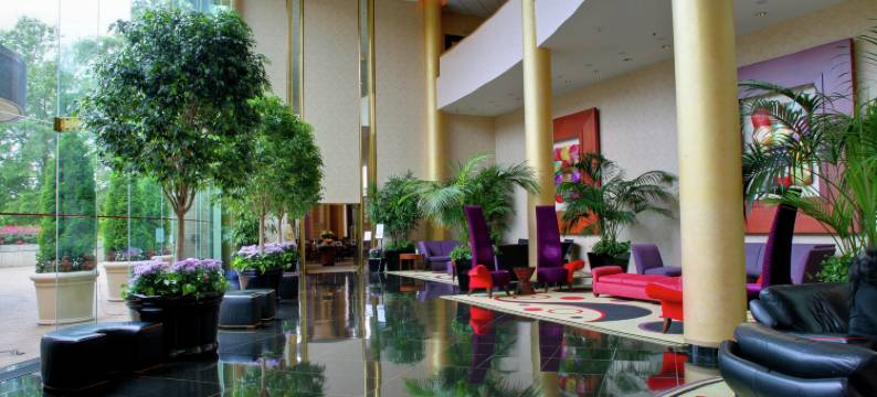 华盛顿杜勒斯国际机场希尔顿酒店(DoubleTree by Hilton Washington Dulles Airport)图片